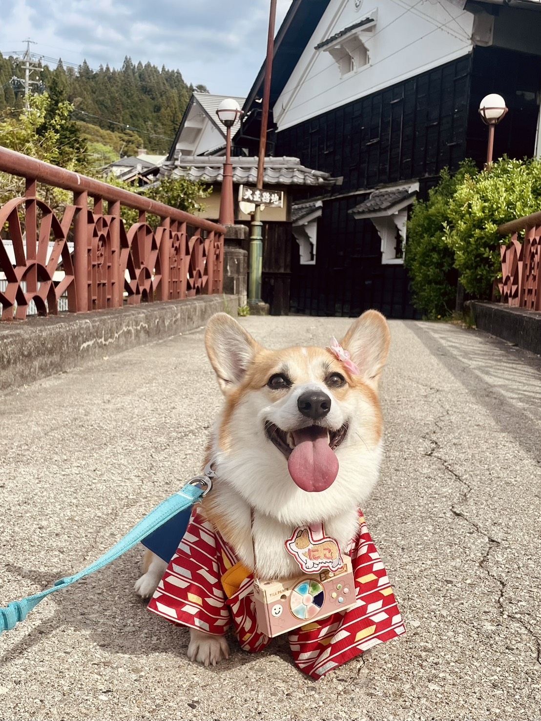 にこちゃん