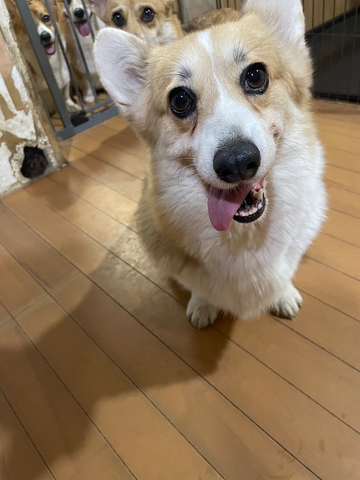 ユタ